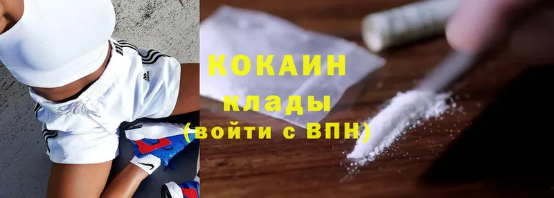 где купить наркоту  Сясьстрой  Cocaine Fish Scale 